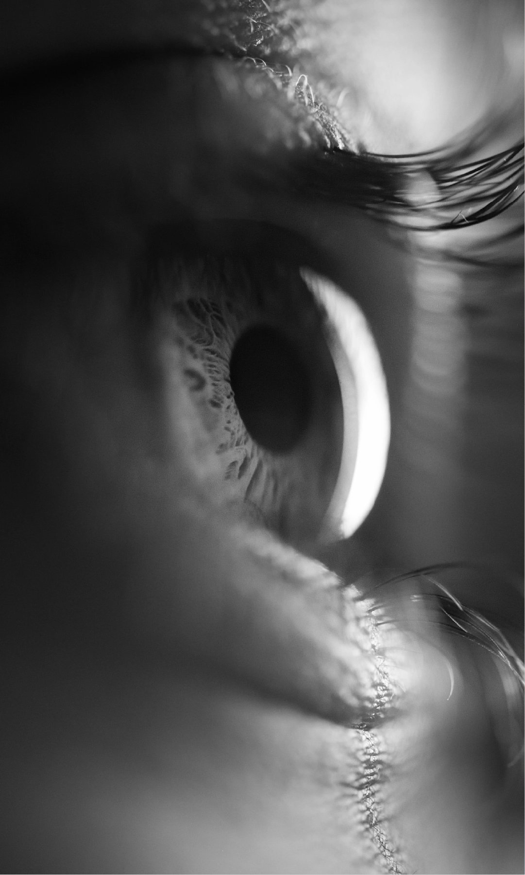 موردين قهوة في السعودية